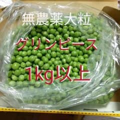 無農薬大粒グリンピース1kg以上のサムネイル