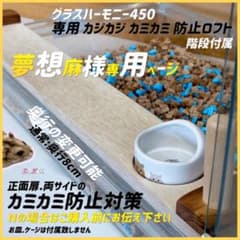 夢☆想☆麻様専用ページ グラスハーモニー450N カジカジ カミカミ防止