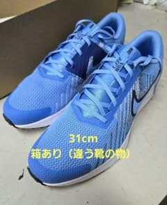 Nike ランニングシューズ 青×紺　31センチのサムネイル