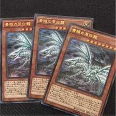 青眼の亜白龍のサムネイル