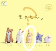 Thumbnail of ✨新品　きょとん。うさぎ 動物フィギュア