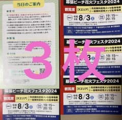 幕張ビーチ花火フェスタ2024 ３枚のサムネイル