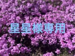 専用のサムネイル