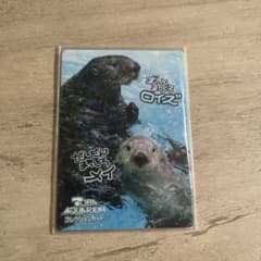 バラ売り100円】鳥羽水族館 コレクションカード（とレカ） | Shop at