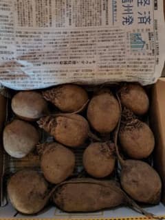 ビーツ⑤のサムネイル