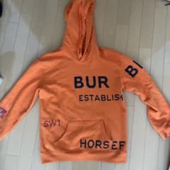 Burberry プルオーバー　パーカーのサムネイル