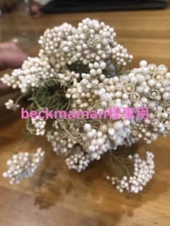 beckmaman様専用のサムネイル