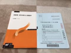 放送大学テキスト　思春期・青年期の心理臨床のサムネイル