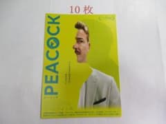 映画チラシ PEACOCK ピーコック / 10枚 / アルブレヒト・シュッフ