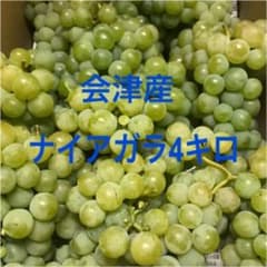 ナイアガラ4キロ箱 ぶどうのサムネイル