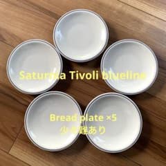 Saturnia 사탈니아 티볼리 블루 라인 브레드 플레이트 어려운 중고