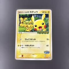 ポケパークのピカチュウ PROMO プロモカード ポケモンカード 状態悪 ポケパークのピカチュウ PROMO プロモカード ポケモンカード 状態悪