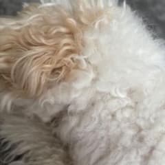 すずぽさん専用のサムネイル