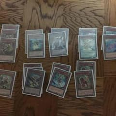 遊戯王 霊獣のサムネイル