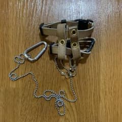 爬虫類リードのサムネイル