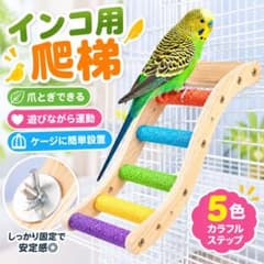 小鳥用 バードラダー 5段 カラフル 木製 はしご 止まり木 インコ 鳥用品