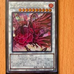 遊戯王 ブラッド・ローズ・ドラゴン　シークレットのサムネイル