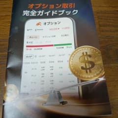 米国株オプション取引ガイドのサムネイル