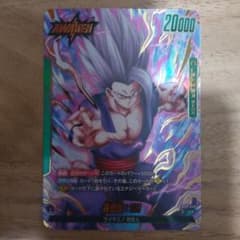 孫悟飯SH リーダーパラレル　L⭐︎