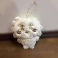 Chiikawa Plushie Palette ~✵ Shisa Mascot ☆