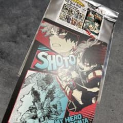 僕のヒーローアカデミア　轟焦凍のサムネイル