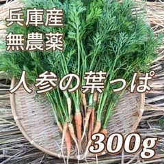 新鮮 人参の葉っぱ 300g 兵庫産 野菜 無農薬 ペットおやつ 人参葉