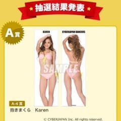 サイバージャパン A賞 抱き枕のサムネイル