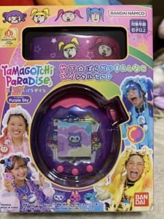 ひーちゃん様専用】たまごっちパラダイス カスタム品 - メルカリ