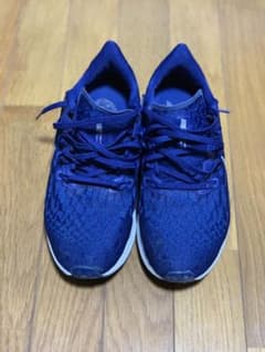 NIKE ペガサス ネイビーのサムネイル