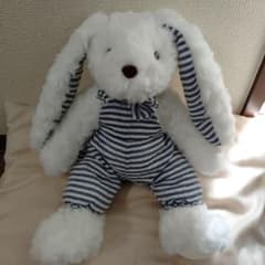 ♡超希少✮廃盤品♡ニトリ♡クタクタぬいぐるみ♡激可愛ウサギちゃん♡Мサイズ♡♡ ニトリ うさぎ クタクタ ぬいぐるみ - メルカリ