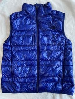THE NORTH FACE レディースダウンベスト ブルーＬのサムネイル