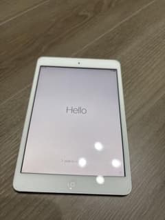 iPad mini 256GB ジャンク ロック有 - メルカリ