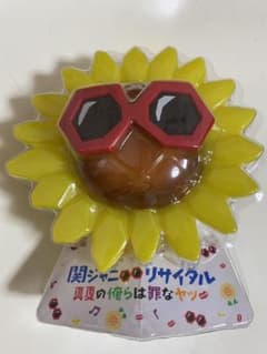 関ジャニ∞リサイタル 真夏の俺らは罪なヤツ ペンライトのサムネイル