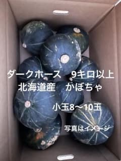 かぼちゃ 箱込み9キロ以上のサムネイル