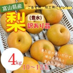 富山県産 豊水梨 訳あり品 4kg 10〜12玉のサムネイル