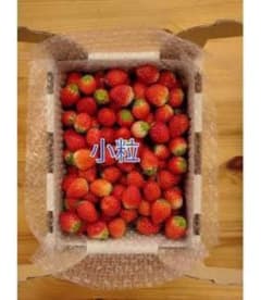 〝たいよう〟の小粒イチゴ栃木産1kgのサムネイル
