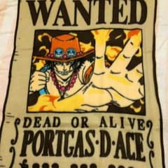 メル様専用 ONE PIECE エース フリース毛布のサムネイル