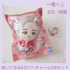 BTS TinyTan RM 남씨 봉제인형