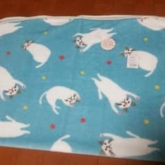 シフォン様専用♪マイクロフランネル ブランケットのサムネイル