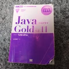 【B級品 】Java Gold SE 11 1Z0-816 山本道子のサムネイル
