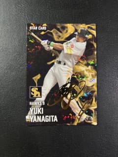 サイン入り スターカード 柳田悠岐のサムネイル