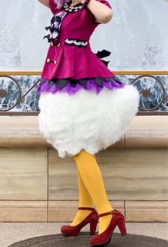 【みみみ様専用ページ】ディズニー 仮装 衣装 ドナルド デイジー モフ尻のサムネイル