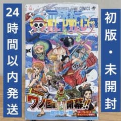 ONEPIECE 91巻 【初版・帯付き・シュリンク付き・チラシ付き】 漫画