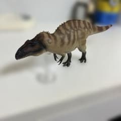 pnsoアクロカントサウルス 約34cm 台座付き - メルカリ