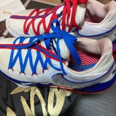 NIKE レブロン　17 LOW テューンスクワッドのサムネイル