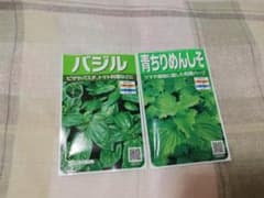 バジルと青じそ(大葉、しそ)　種子　種のサムネイル