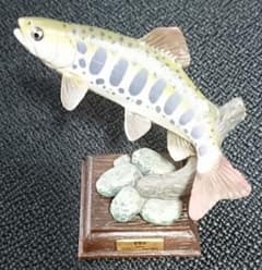 【中古品】「ヤマメ」ネイチャーテクニカラー日本の清流のサムネイル