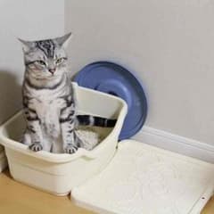 専用！のサムネイル
