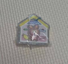 MINITEEN 패키지 매력