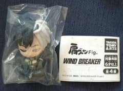 WIND BREAKER 어깨준 Fig. 사쿠라 하루카 윙블레
